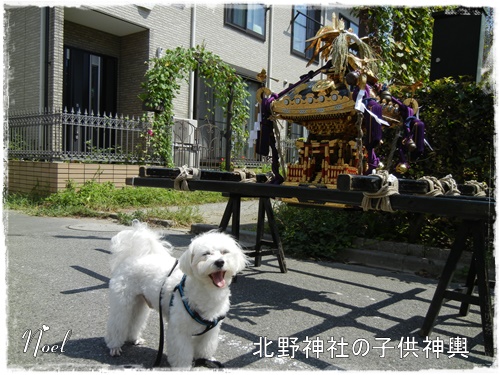 近くの神社の秋祭り