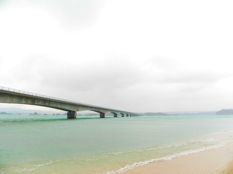 DSCN0647.jpg