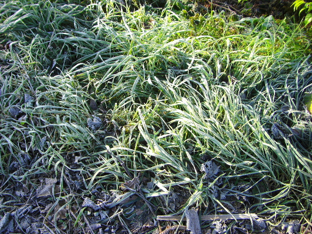 2012_1027huukei0095.JPG