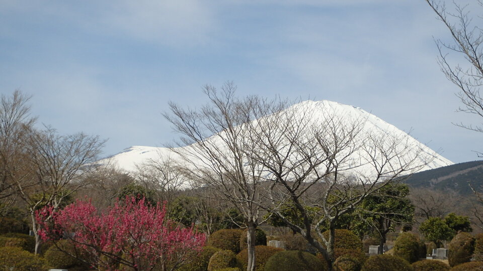 150328富士霊園１.jpg