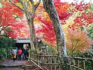 rblog-20141130210256-03.jpg