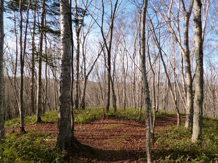 釧路町森林公園 2.JPG