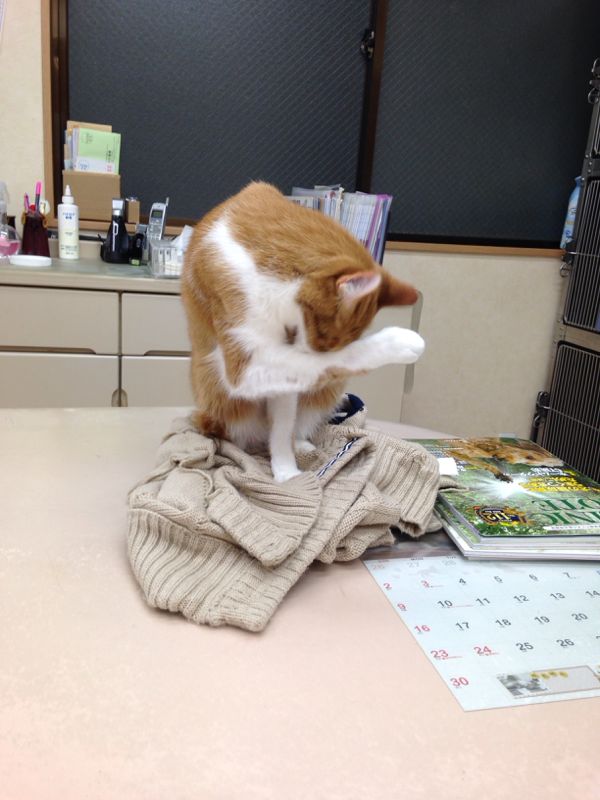 rblog-20141109162728-02.jpg