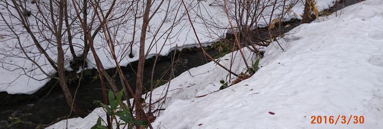 ３／３０雪が解けて川となって.jpg