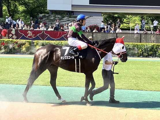 競馬も釣りも大物志向？