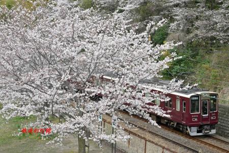 四日市あすなろう鉄道でのすれ違い | ブログ「鉄道幻灯館」 - 楽天ブログ