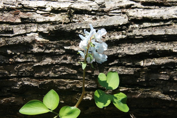 2016・5・13 019600.jpg