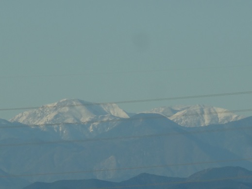 DSC02484.JPG