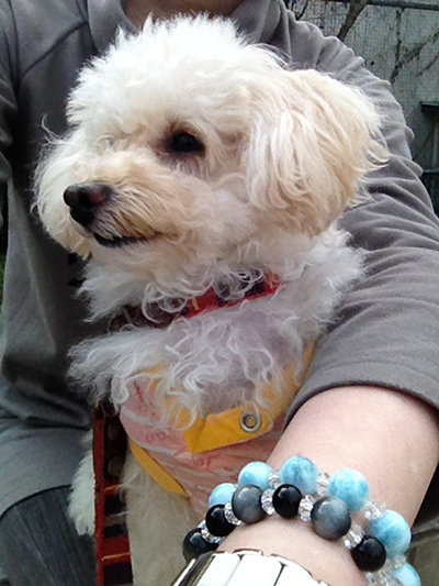 20150418_04.jpg