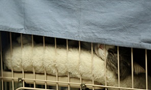 5DA_0620-14.jpg