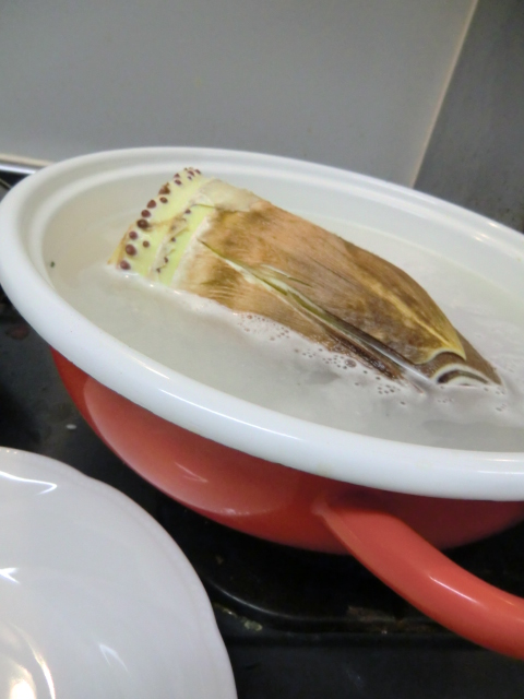 画像 46048.jpg