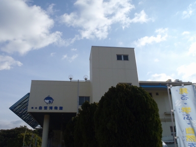和歌山県立自然博物館2014年12月下旬3