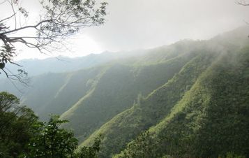 Kuliouou Ridge Trail