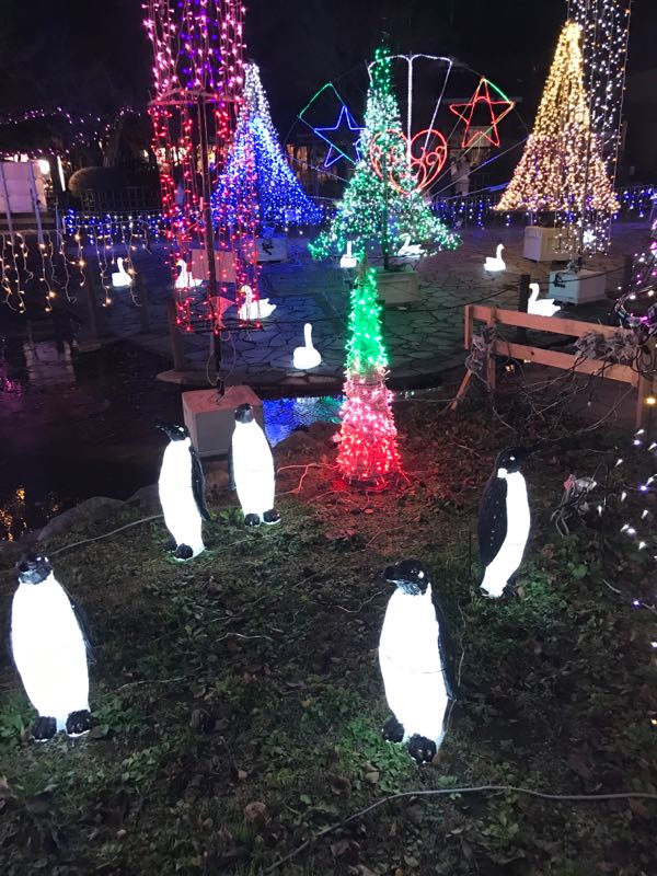 rblog-20161209104025-02.jpg