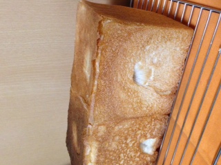 醗酵させすぎ