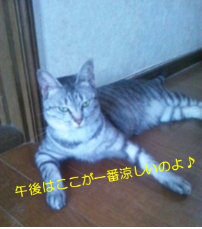 20120718_2.jpg