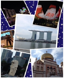 singapore1.png