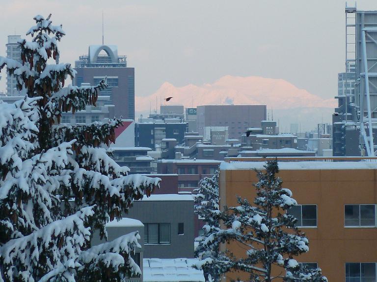 P1080835.jpg