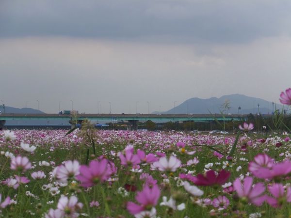 rblog-20140923152219-04.jpg