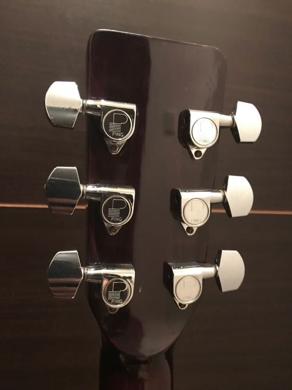 ギターの紹介 Takamine TDC35 | y-feel-happyの人生がより楽しくなる