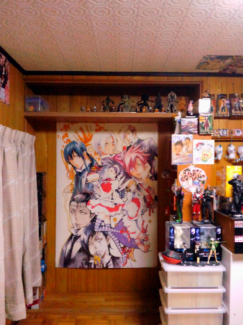 コレクションルーム兼自分の部屋