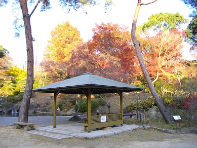 須磨離宮公園の紅葉