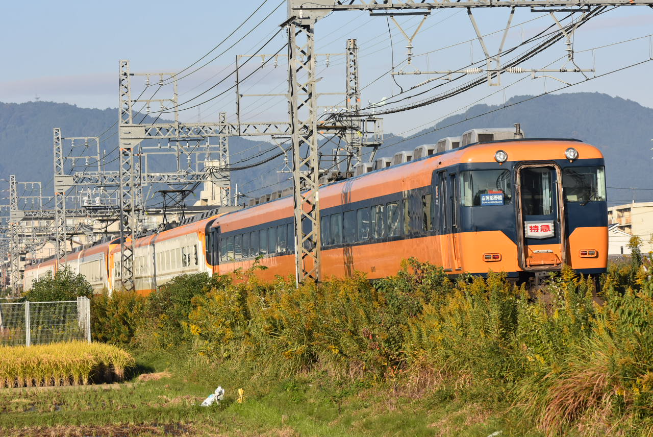 DSC_5819.JPG