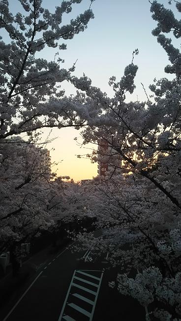 DSC_0016.JPG
