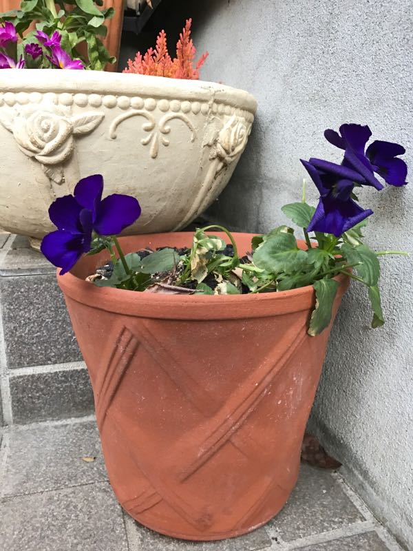 rblog-20170125173922-04.jpg