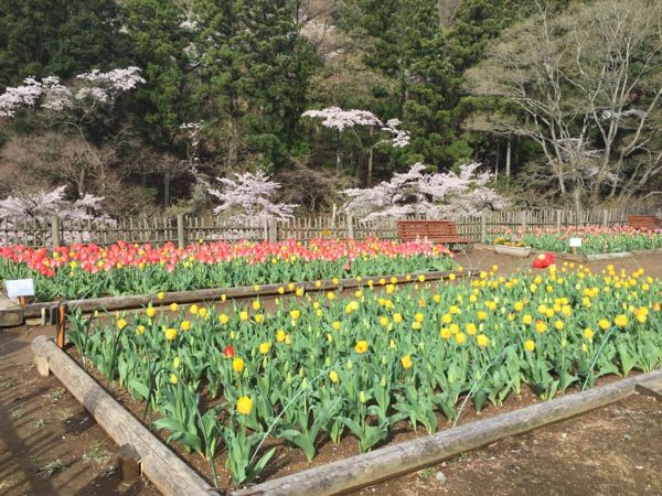 rblog-20170413205842-03.jpg
