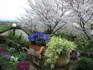IMG_0666ss.jpg