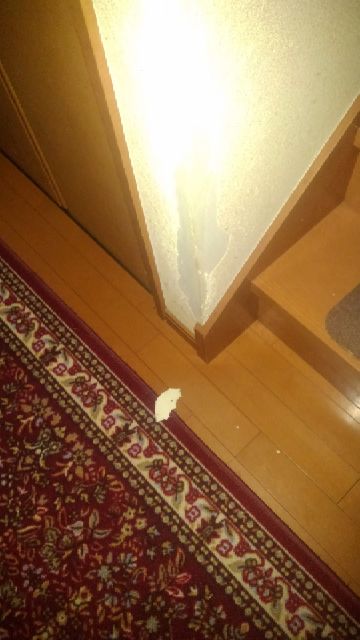 rblog-20181008064824-02.jpg
