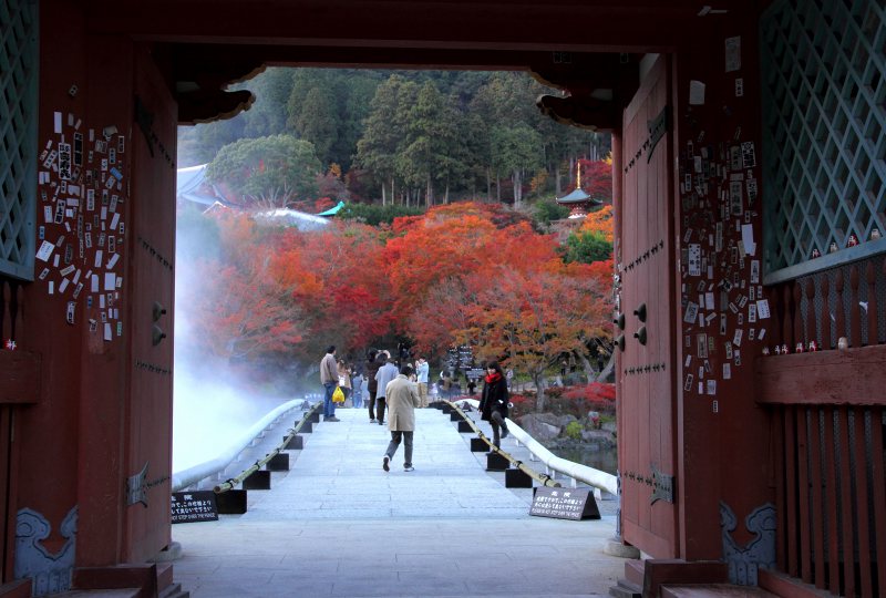 勝尾寺_2-3.jpg