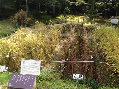 20141108180048.jpg
