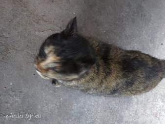 2014 022-1.JPG