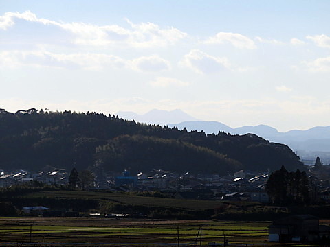 IMG_0240.jpg