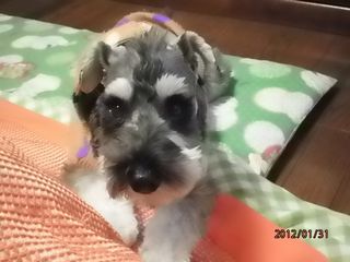 おはぎー２