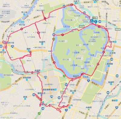 顔マラソン 皇居のスヌーピー Wancoの前十字靱帯リハビリ ココロのごちそう日記 楽天ブログ