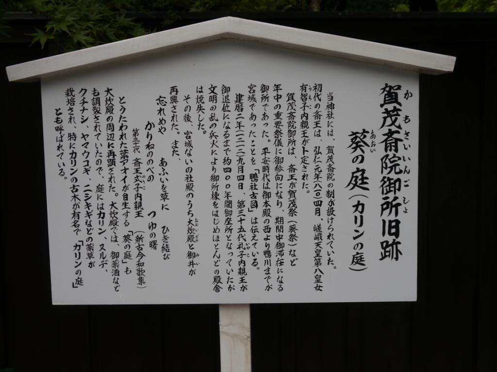 P1090081.JPG