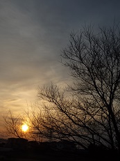 2016_0323_060459-P3231766-5.jpg