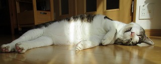 IMG_2274ss.jpg