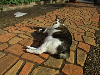 IMG_3273ss.jpg