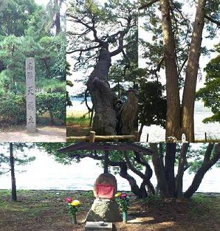 御神木とお地蔵さん