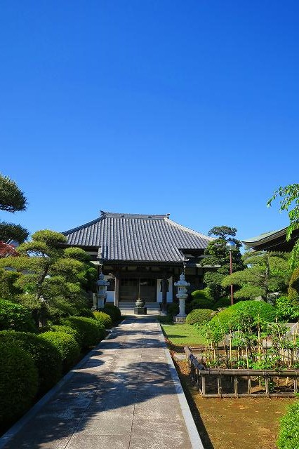20160512金剛寺０２