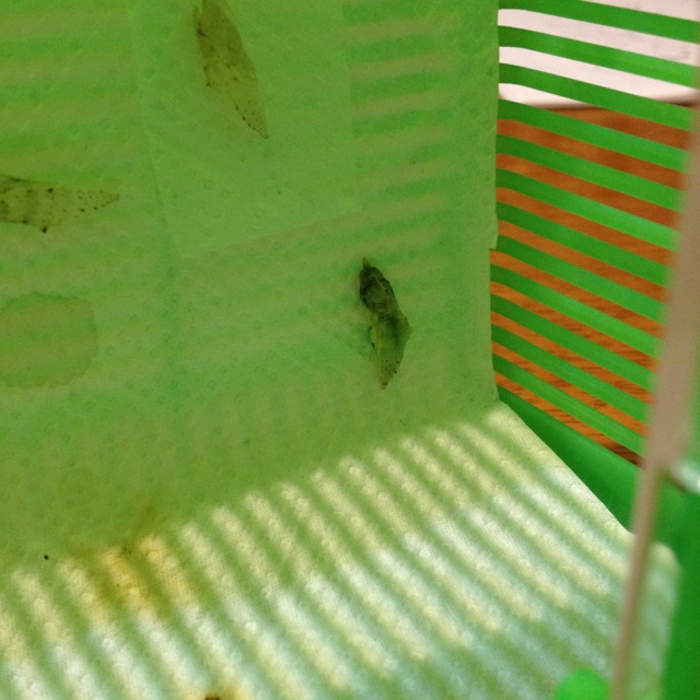 rblog-20130525232108-03.jpg