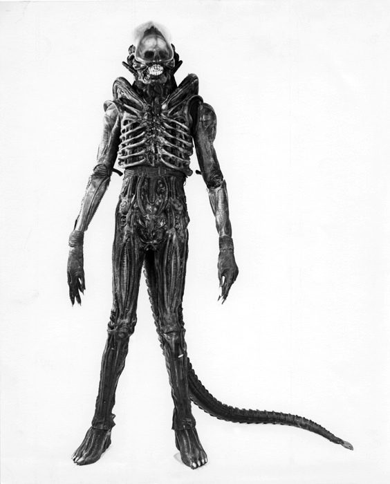 01060_Alien_Sibthorp.jpg
