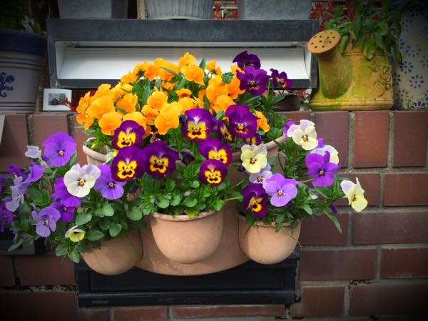rblog-20160330183729-05.jpg