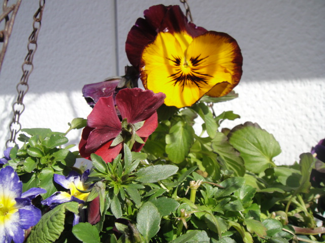 DSC05499.JPG