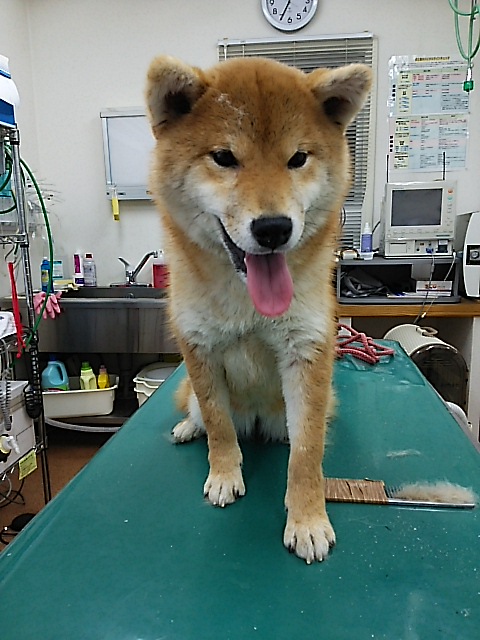 DSC_1095.JPG