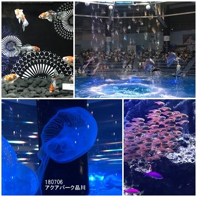 アクアパーク品川 デート ランチ 出会い系アプリ